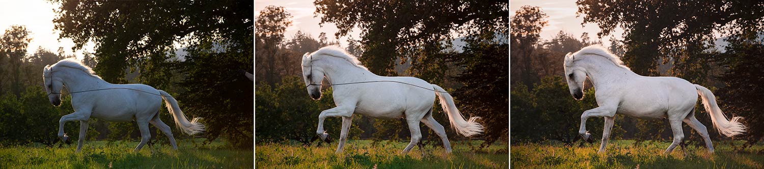 smartphone-vs-camera_05 (1)