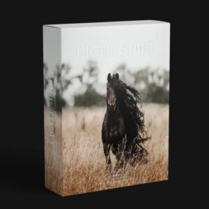 Mockup-Preset1-800x533