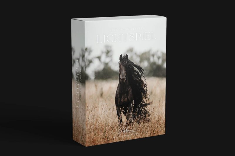 Mockup-Preset1-800x533