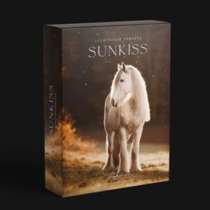 Mockup-Preset-800x533