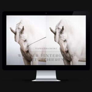 Videotrainig-weisser-Hintergrund