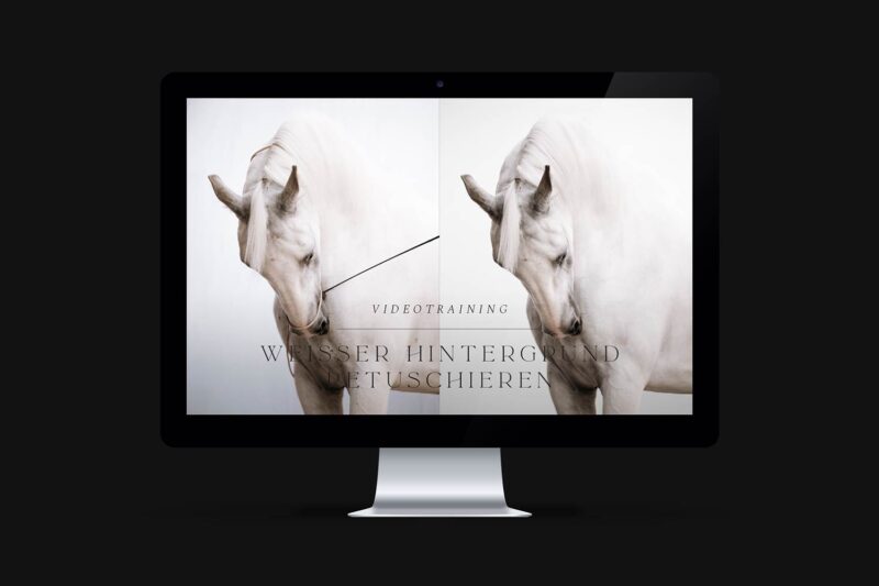 Videotrainig-weisser-Hintergrund