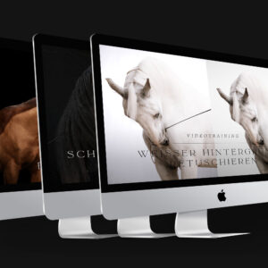 All In One Video Training Bundle