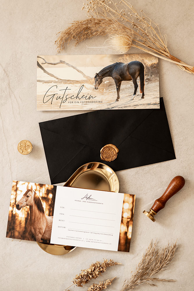 Gutschein_Pferdefotografie_02.jpg