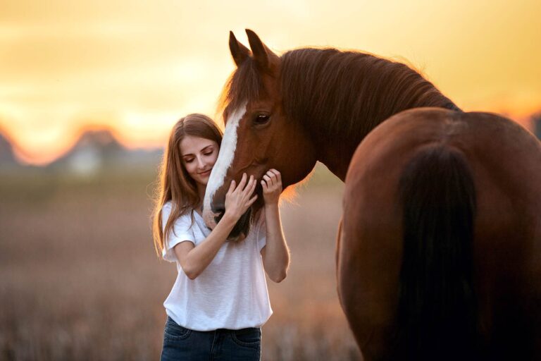 Pferdefotoshooting_20-600x400.jpg