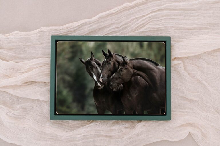 Drei schwarze Pferde auf einem Holzbild mit dunkelgrünem Rahmen