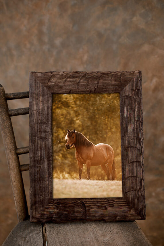 Holdbild mit dunklem Holzrahmen dass ein braunes Pferd auf eines Wiese im goldenen Licht zeigt