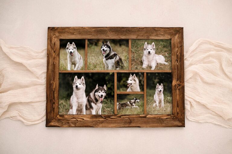 Collage von einem Shooting mit zwei Huskys auf einem Holzbild mit braunem Rahmen