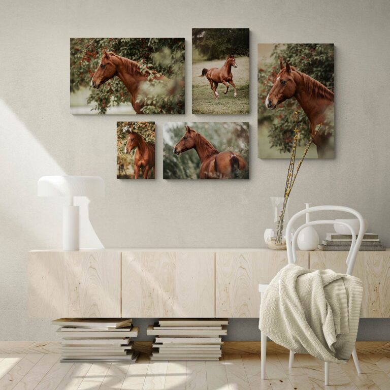 Wandbild Collage aus einem Shooting Pferd hängt an der Wand