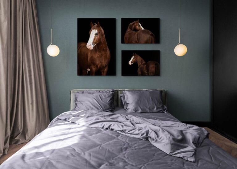 Wandbild Collage aus ein Pferdeshooting vor schwarzem Hintergrund hängt über einem Bett