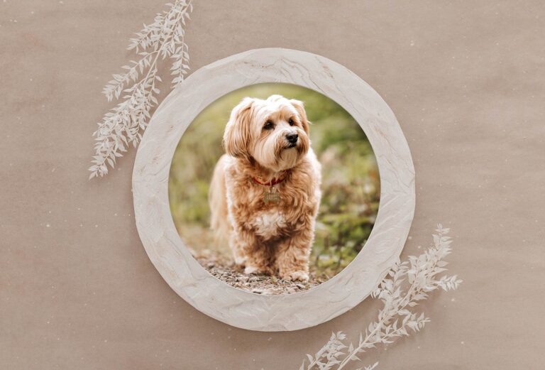 Rundes Wandbild mit hellem Holzrahmen von einem Hund im Wald