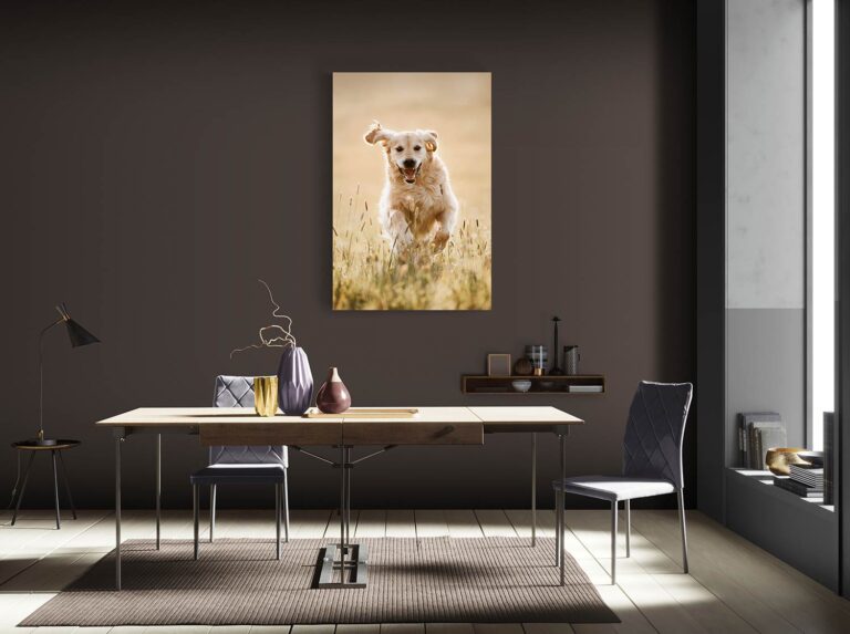 Wandbild von einem Golden Retriever hängt an einer dunklen Wand über einem Esstisch mit Stühlen