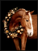 582983898_18540349060017288_7039061535466128294_nthumb