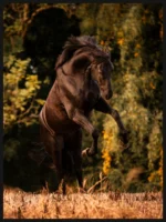 583257528_18540030145017288_2581458465327842996_nthumb