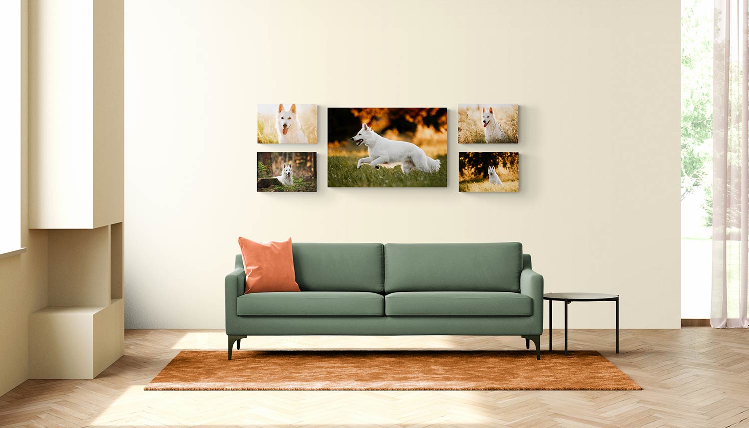 Wandbild Collage von einem Fotoshooting meiner einer weissen Schäferhündin, die an der Wand über einem grünen Sofa im Wohnzimmer hängt