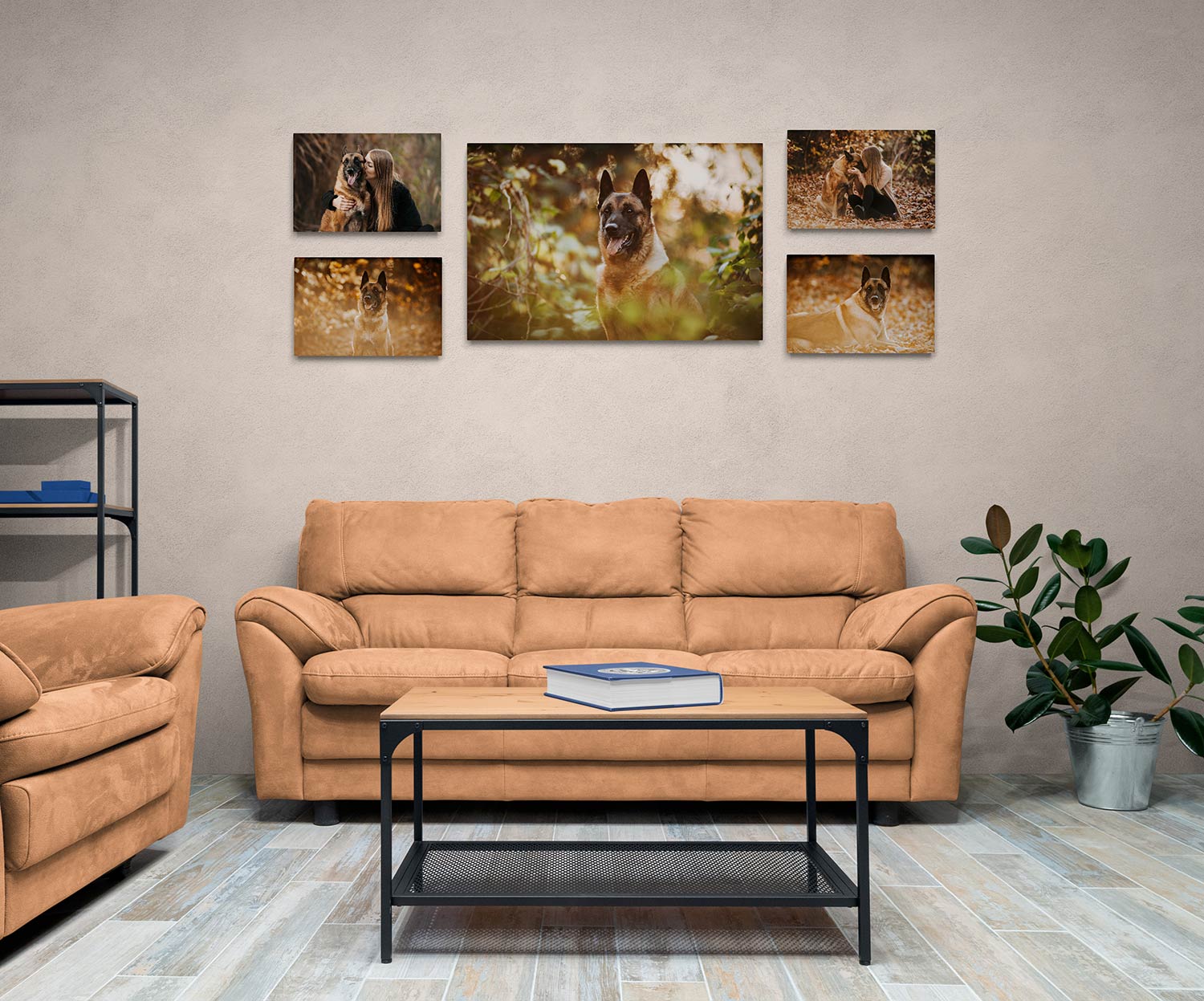 Wandbild Collage aus einem Fotoshooting mit Hund, hängt an der Wand über einem Sofa im Wohnzimmer