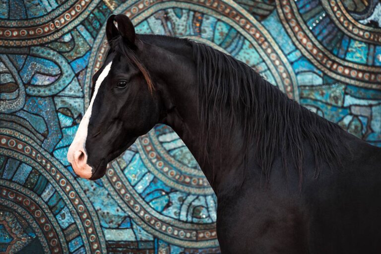 Das Profil eines schwarzen Marwari-Pferdes vor einem kunstvollen blauen Mosaikhintergrund, das die reiche Kultur widerspiegelt.