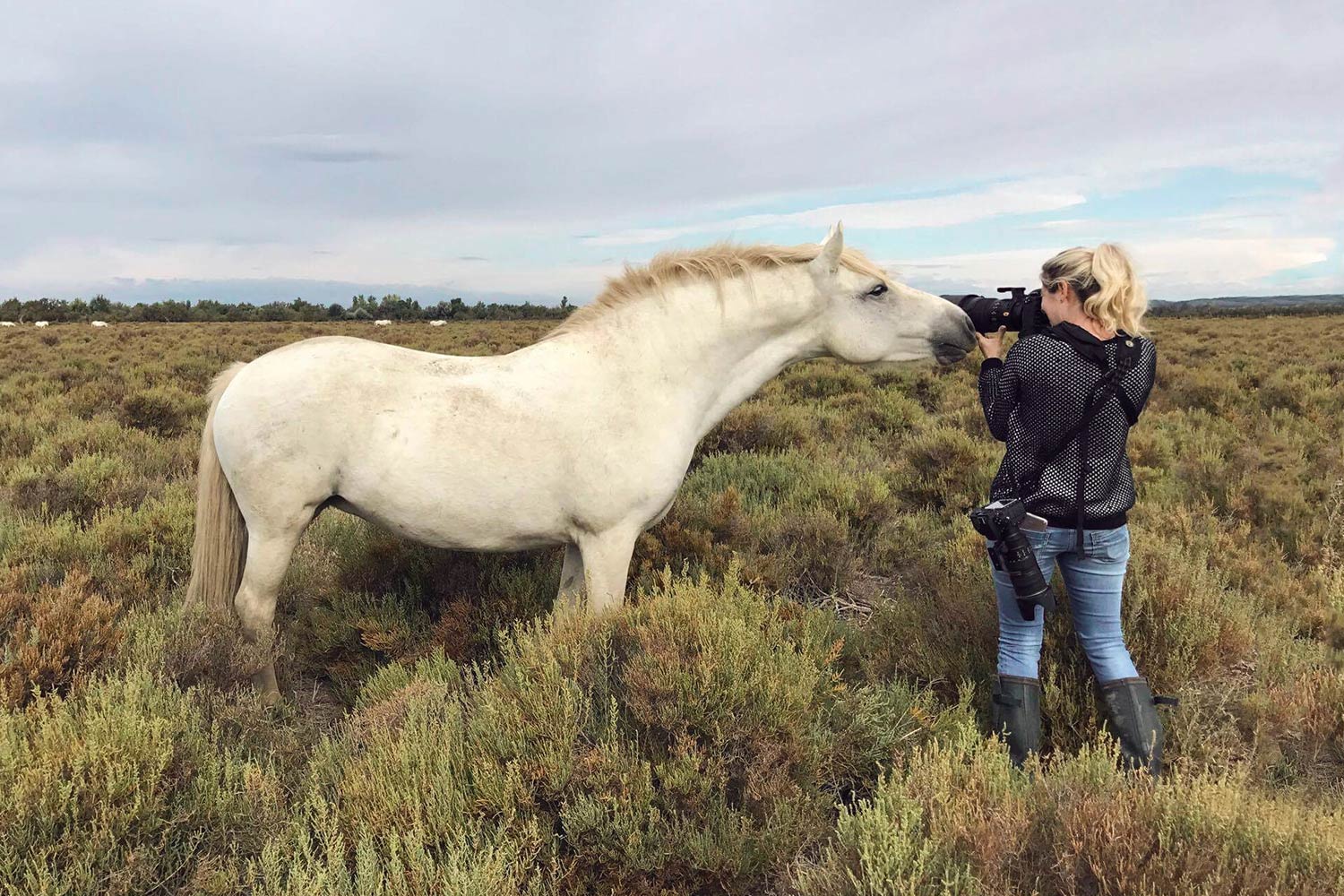 Ein Pferdefotograf im Freien nimmt ein nahes Bild von einem weissen Pferd auf, das sich in einer Heidelandschaft befindet.