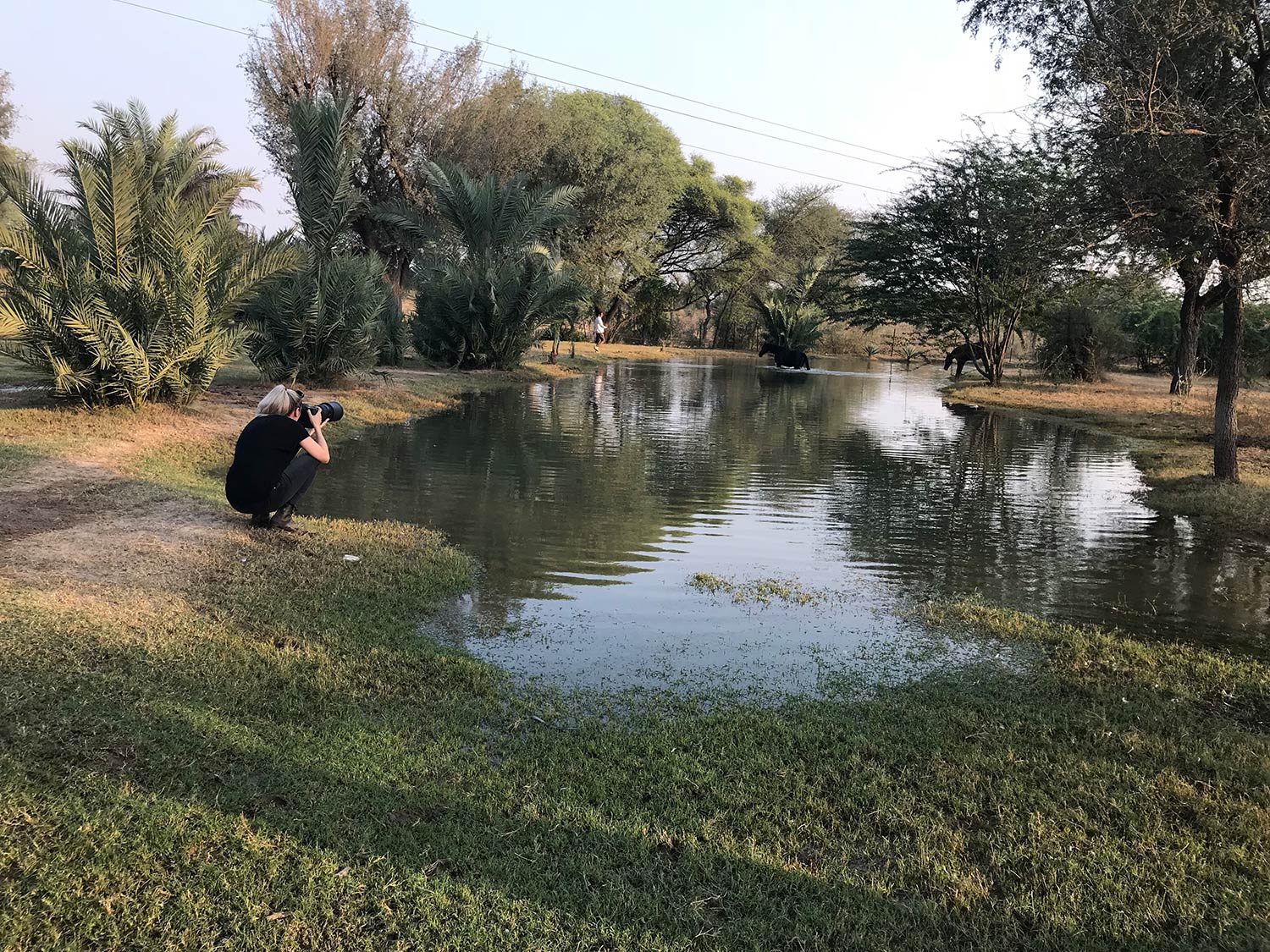 Eine Fotografin kniet am Ufer eines kleinen Teich und fotografiert ein Pferd.