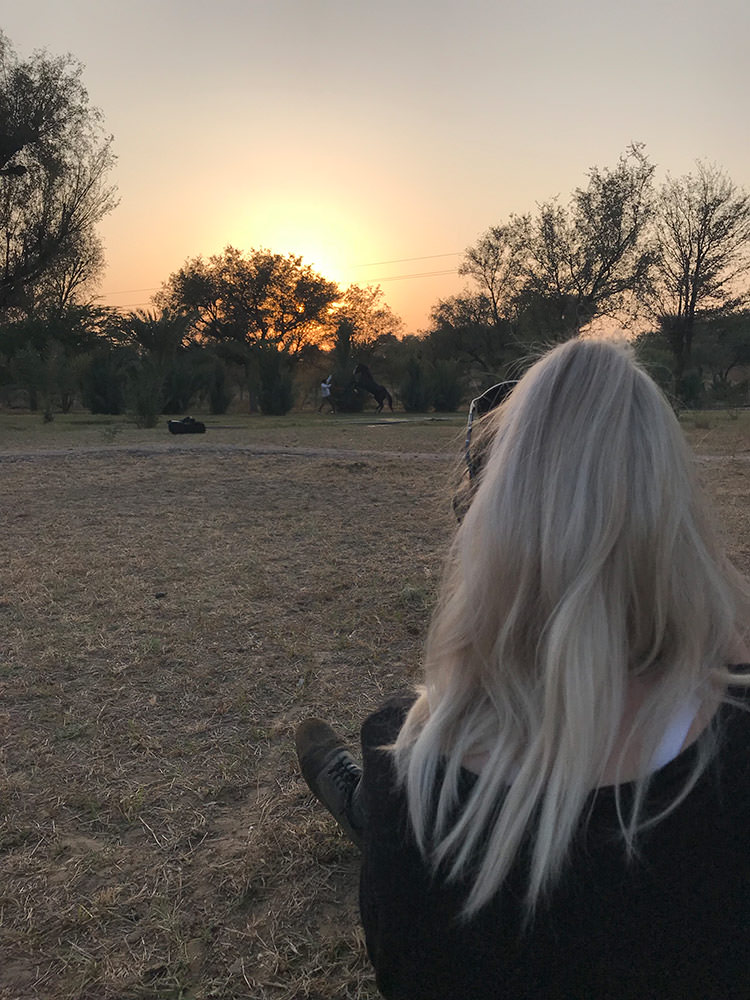 Eine Person sitzt im Schatten und betrachtet die Silhouette eines Pferde, das bei Sonnenuntergang steigt.