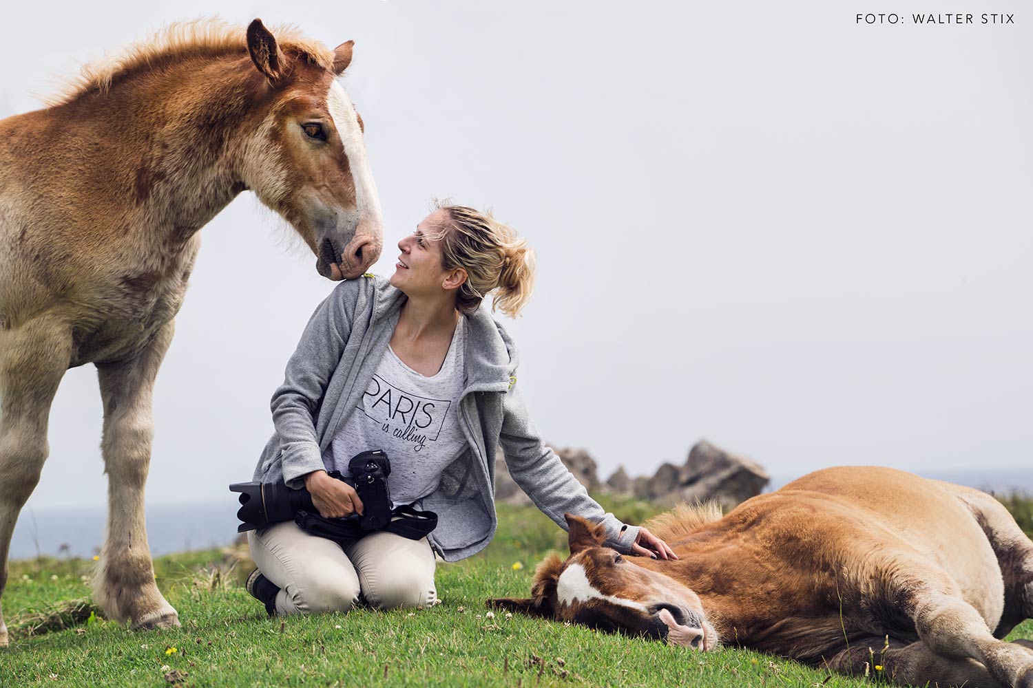 Eine Fotografin in einem grauen Sweatshirt kniet auf einer Wiese und hat eine sanfte Begegnung mit einem neugierigen Fohlen, während ein weiteres Fohlen ausgestreckt auf dem Gras ruht.