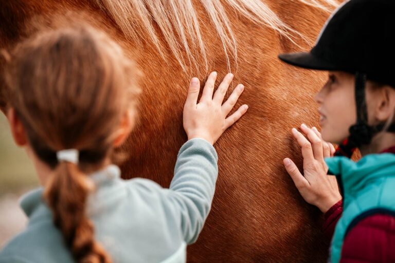 Zwei Kinder legen sanft ihre Hände auf das Fell eines braunen Pferdes.