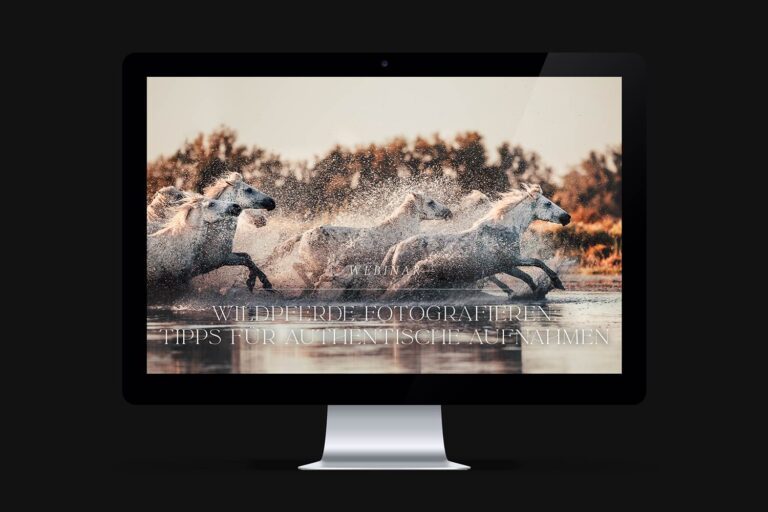 Wildpferde-Webinar-768x512-1.jpg